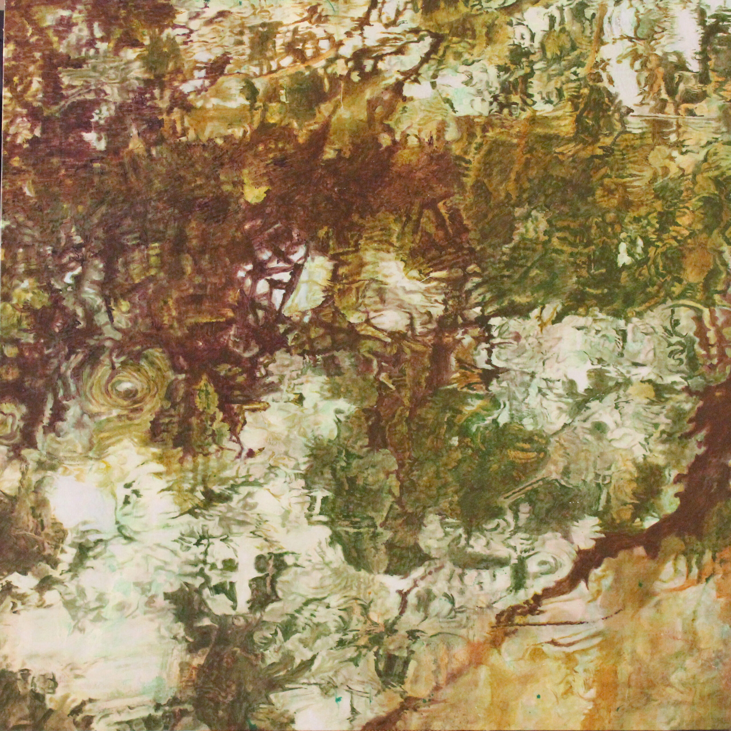 Riflessi 2 – 2017