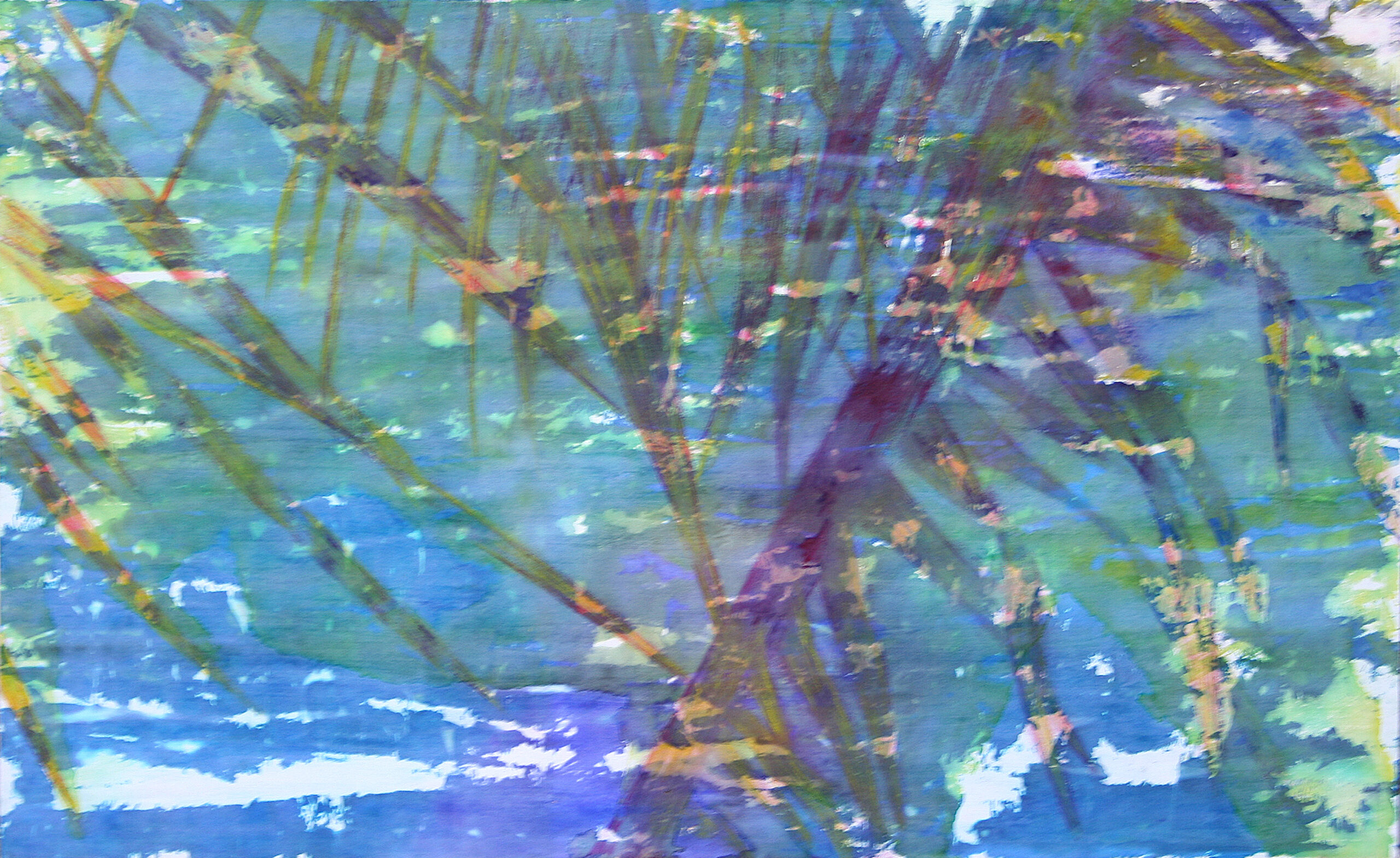 Riflessi 2 – 2008