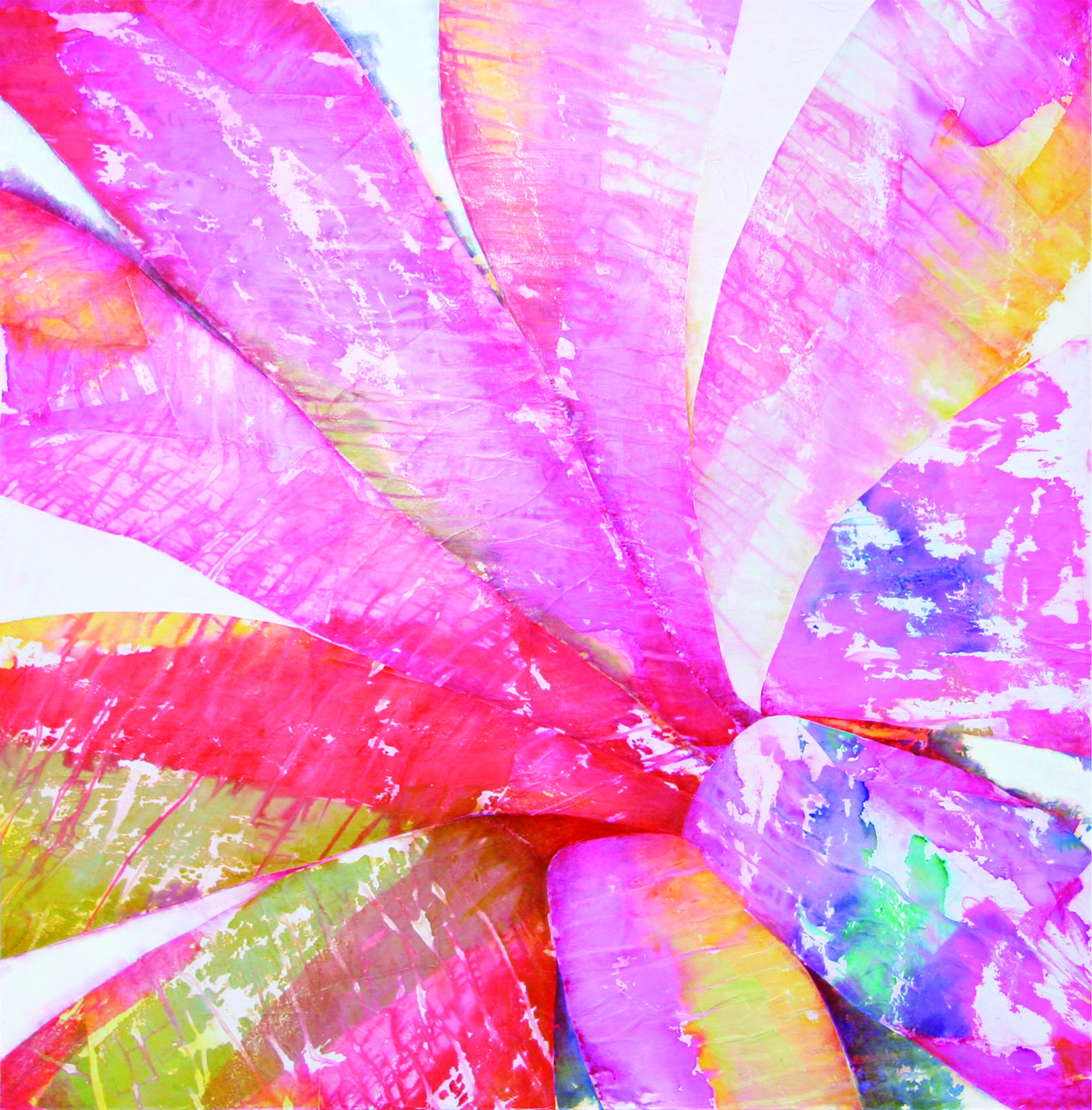 Samba 1